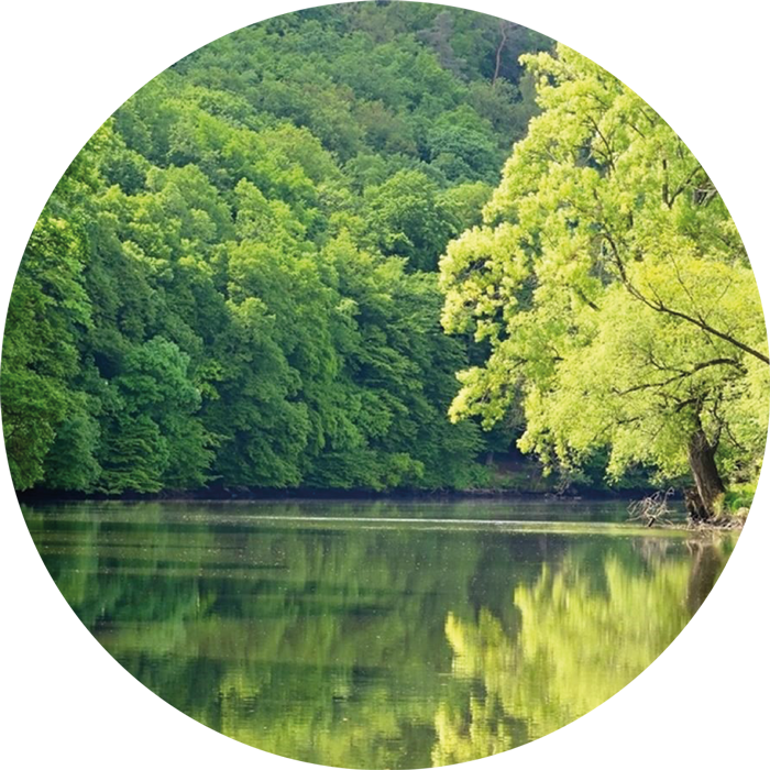 Jen 14 minut po cyklostezce až do centra